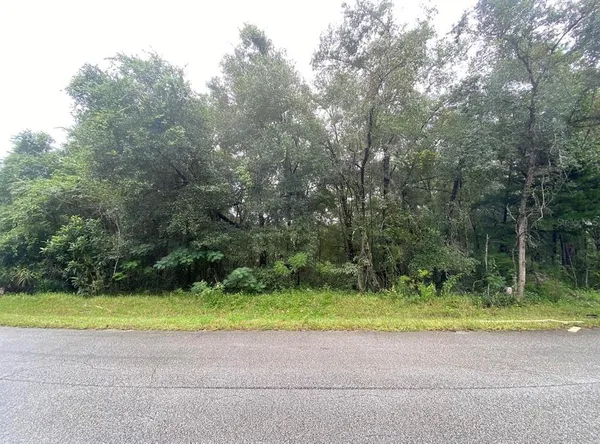 $18,000 | 425 East Elgrove Drive, Citrus Springs, FL 34434