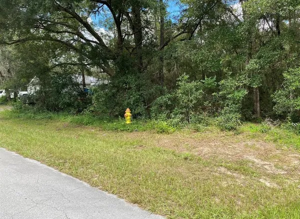 $18,000 | 425 East Elgrove Drive, Citrus Springs, FL 34434
