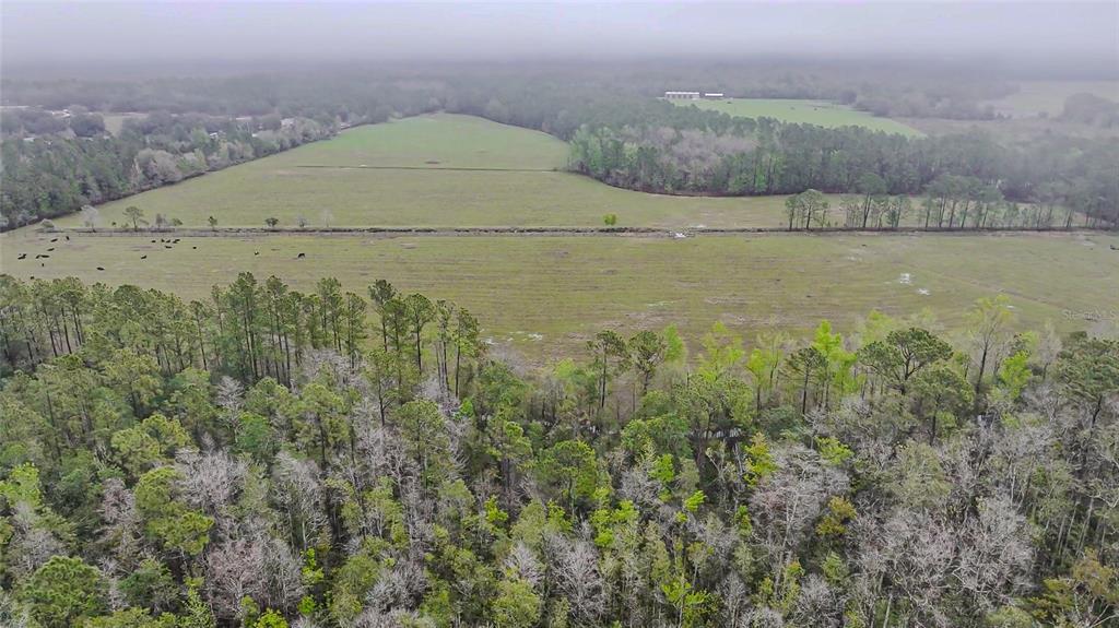 0 Alligator Road Clermont, FL 34714 - Photo 11 of 44 a view of a lake view
