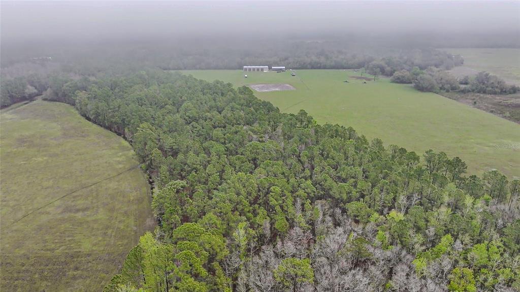 0 Alligator Road Clermont, FL 34714 - Photo 15 of 44 a view of a dry yard