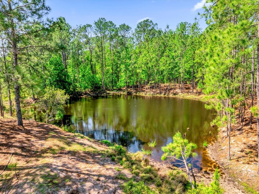 0 Alligator Road Clermont, FL 34714 - Photo 19 of 44 a view of a lake with a big yard