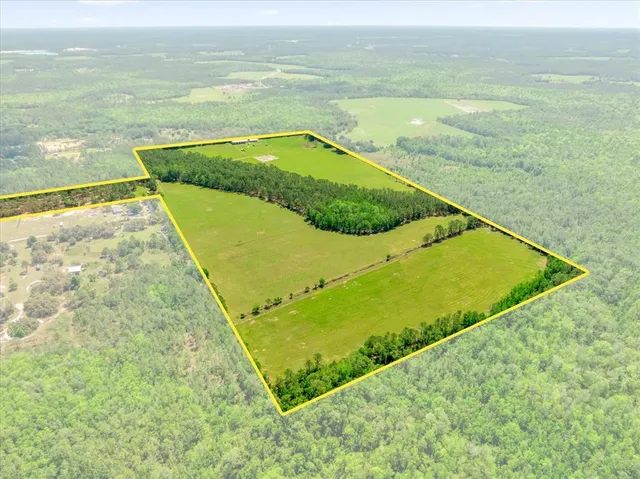a view of a swimming pool and an ocean