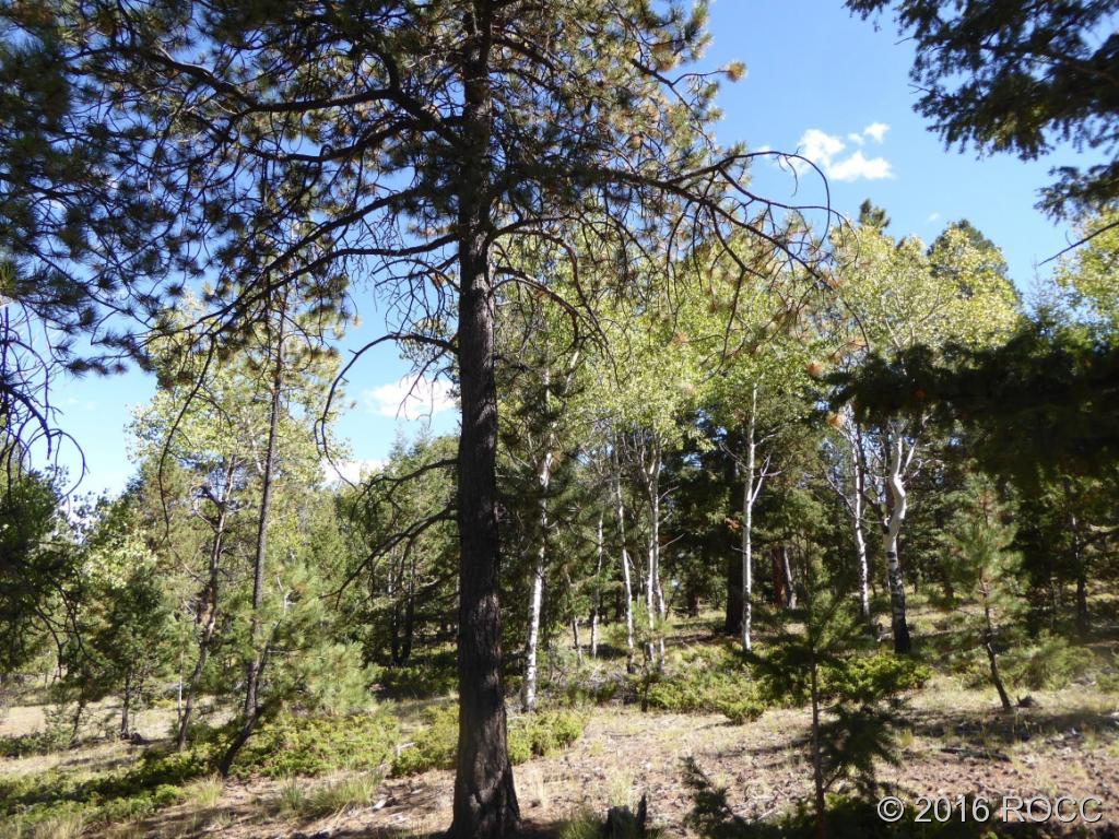 Tbd Singletree Road Hartsel, CO 80449 - Photo 12 of 14 Gallery Image 12