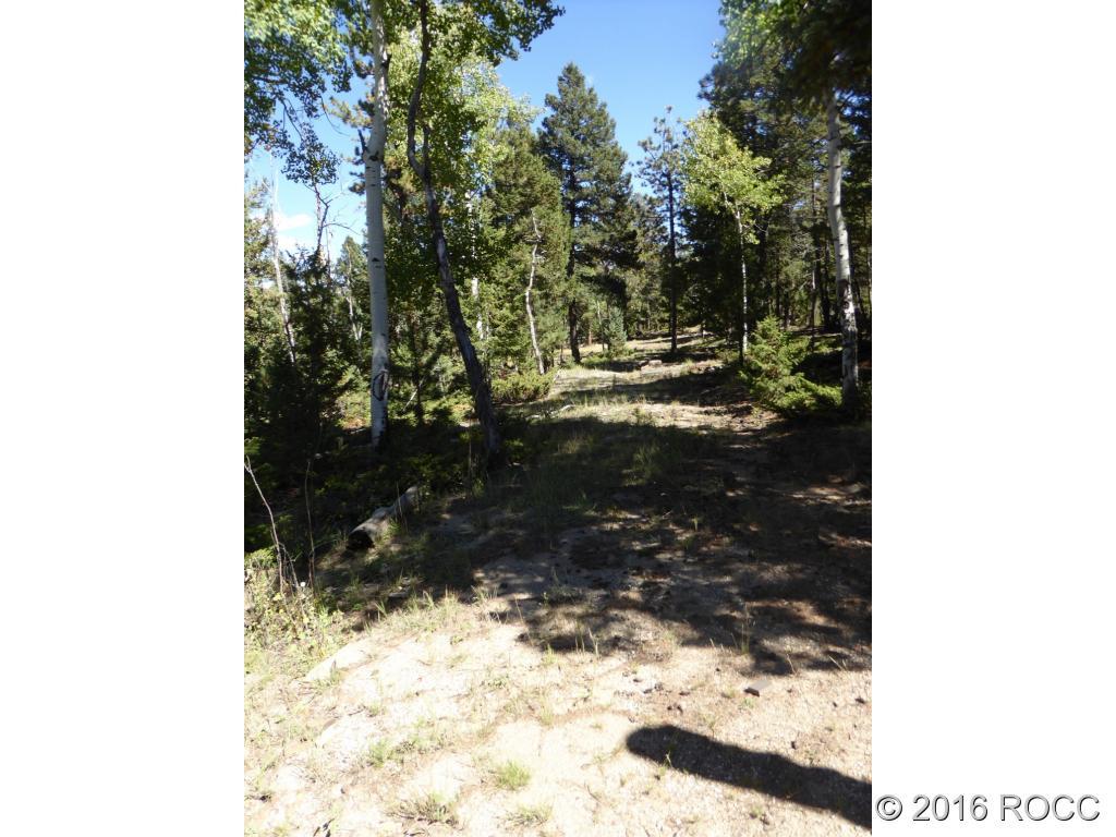 Tbd Singletree Road Hartsel, CO 80449 - Photo 3 of 14 Gallery Image 3