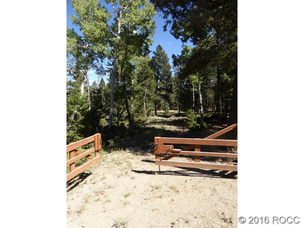 Tbd Singletree Road Hartsel, CO 80449 - Photo 4 of 14 Gallery Image 4