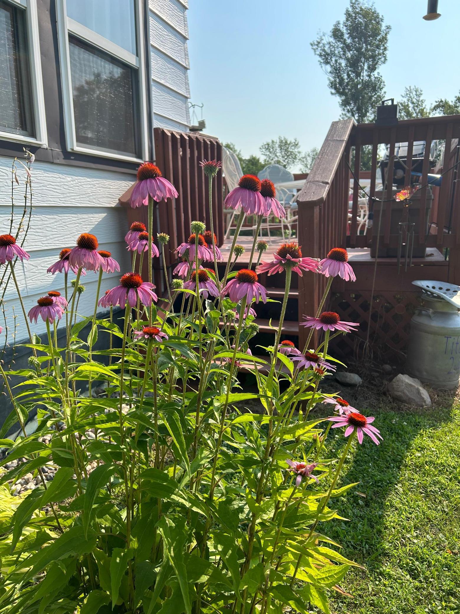 7005 County Road 82 Southeast Alexandria, MN 56308 - Photo 2 of 69