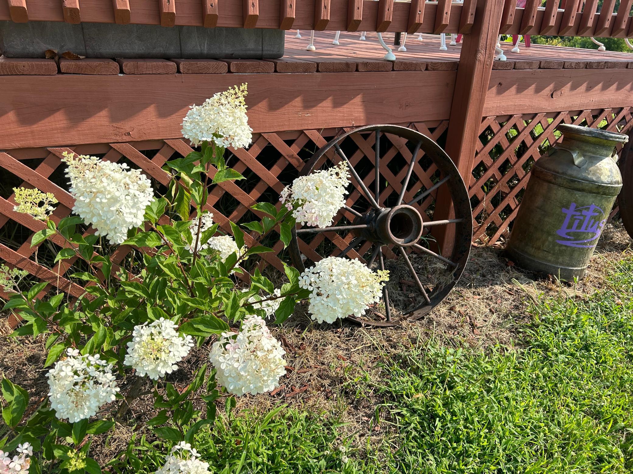 7005 County Road 82 Southeast Alexandria, MN 56308 - Photo 3 of 69