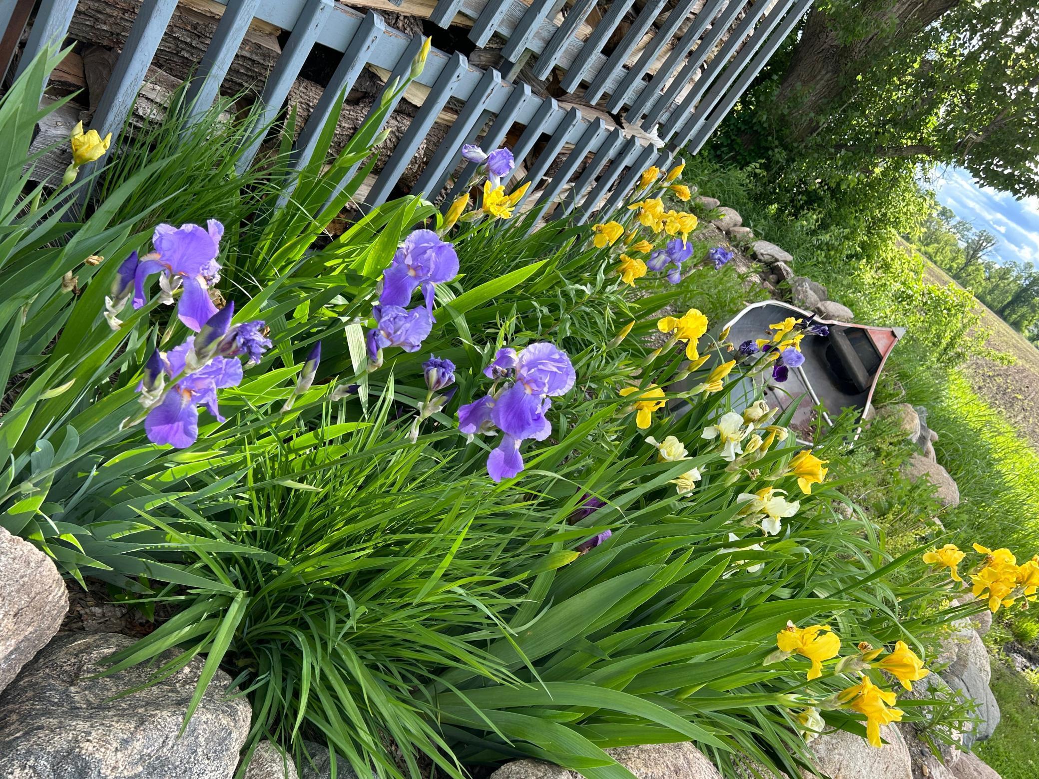 7005 County Road 82 Southeast Alexandria, MN 56308 - Photo 5 of 69