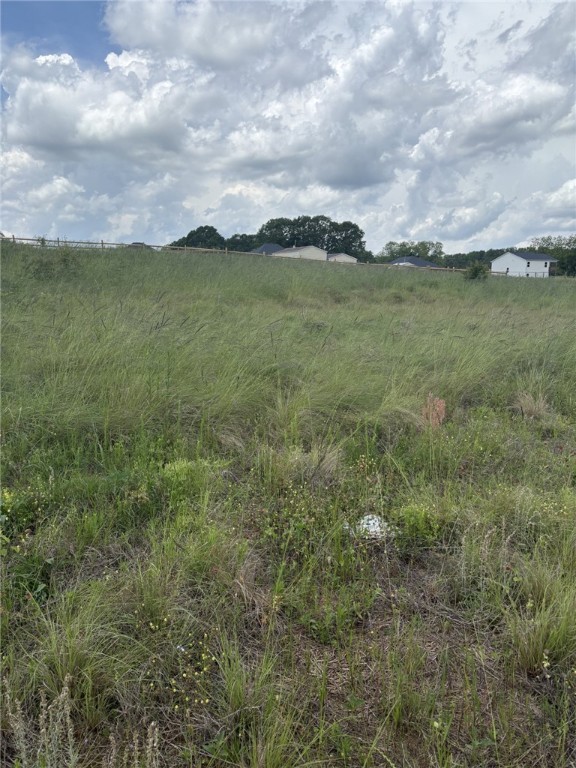 301 Clinkscales Road Anderson, SC 29624 - Photo 4 of 12