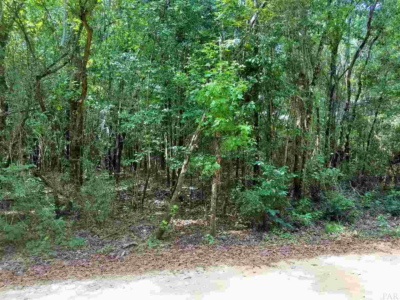 539-551 Brown Road McDavid, FL 32568 - Photo 5 of 12 Gallery Image 5