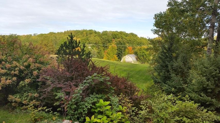 10859 Center Road Traverse City, MI 49686 - Photo 4 of 70 1808226-3.JPG