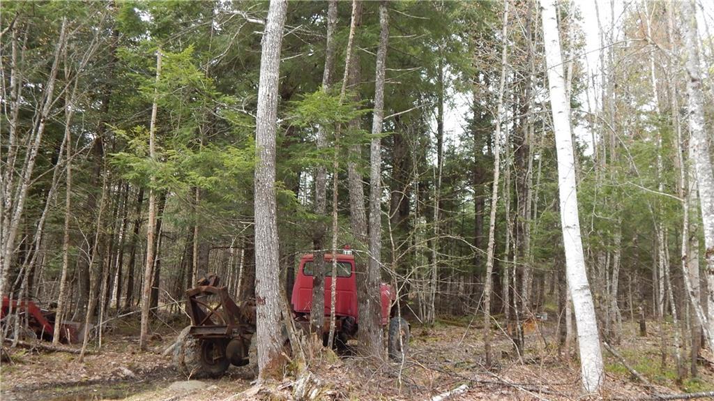 0 Red Farm Road Milo, ME 04463 - Photo 10 of 26 Truck does not convey...will be removed