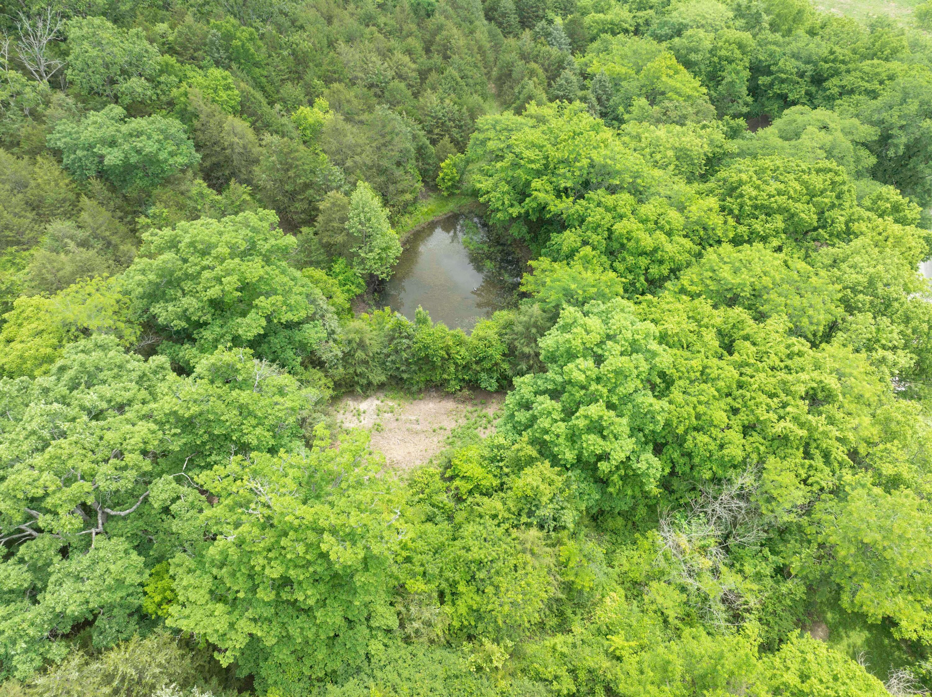 0 Reno Springs Road Walnut Shade, MO 65771 - Photo 6 of 10 DJI_0809