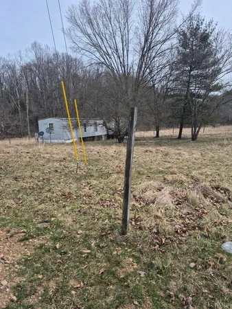 a view of a backyard with large tree