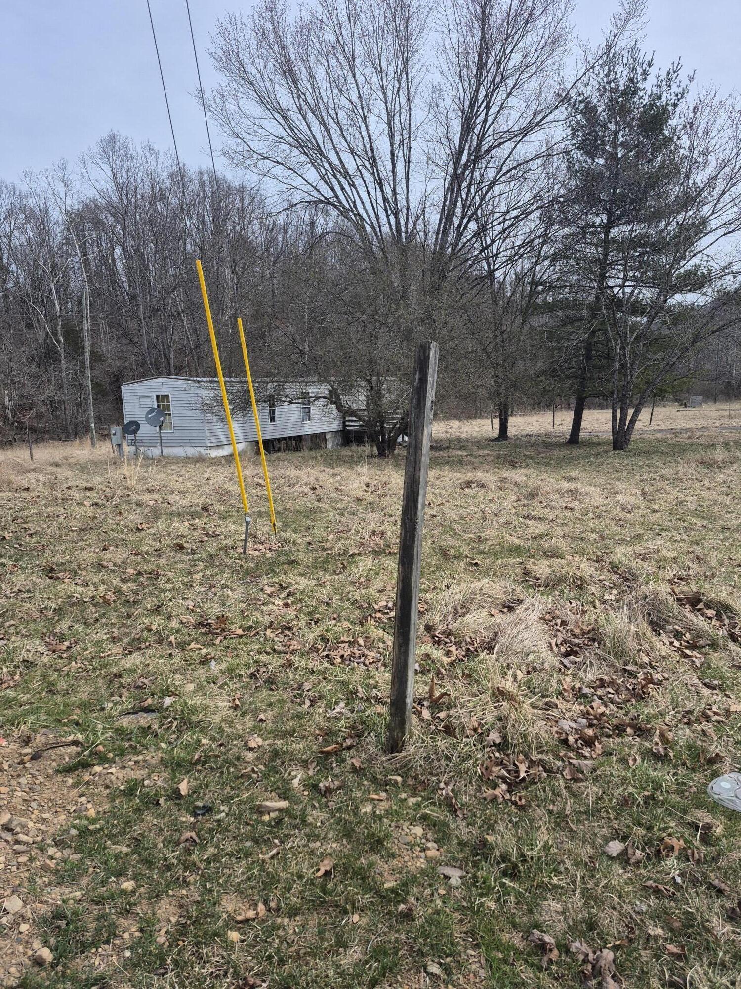 1105 Lithia Road Buchanan, VA 24066 - Photo 1 of 9 a view of a backyard with large tree