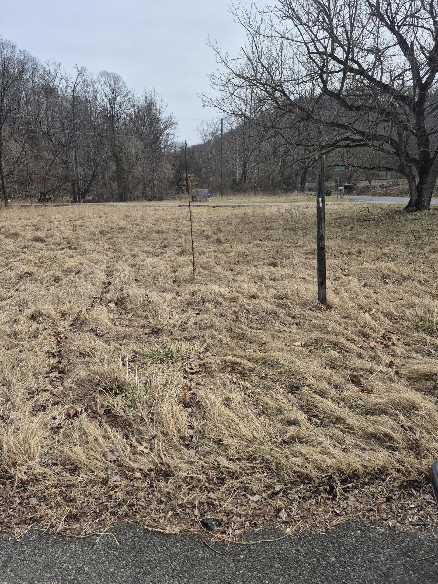 1105 Lithia Road Buchanan, VA 24066 - Photo 4 of 9 a backyard of a house with lots of green space