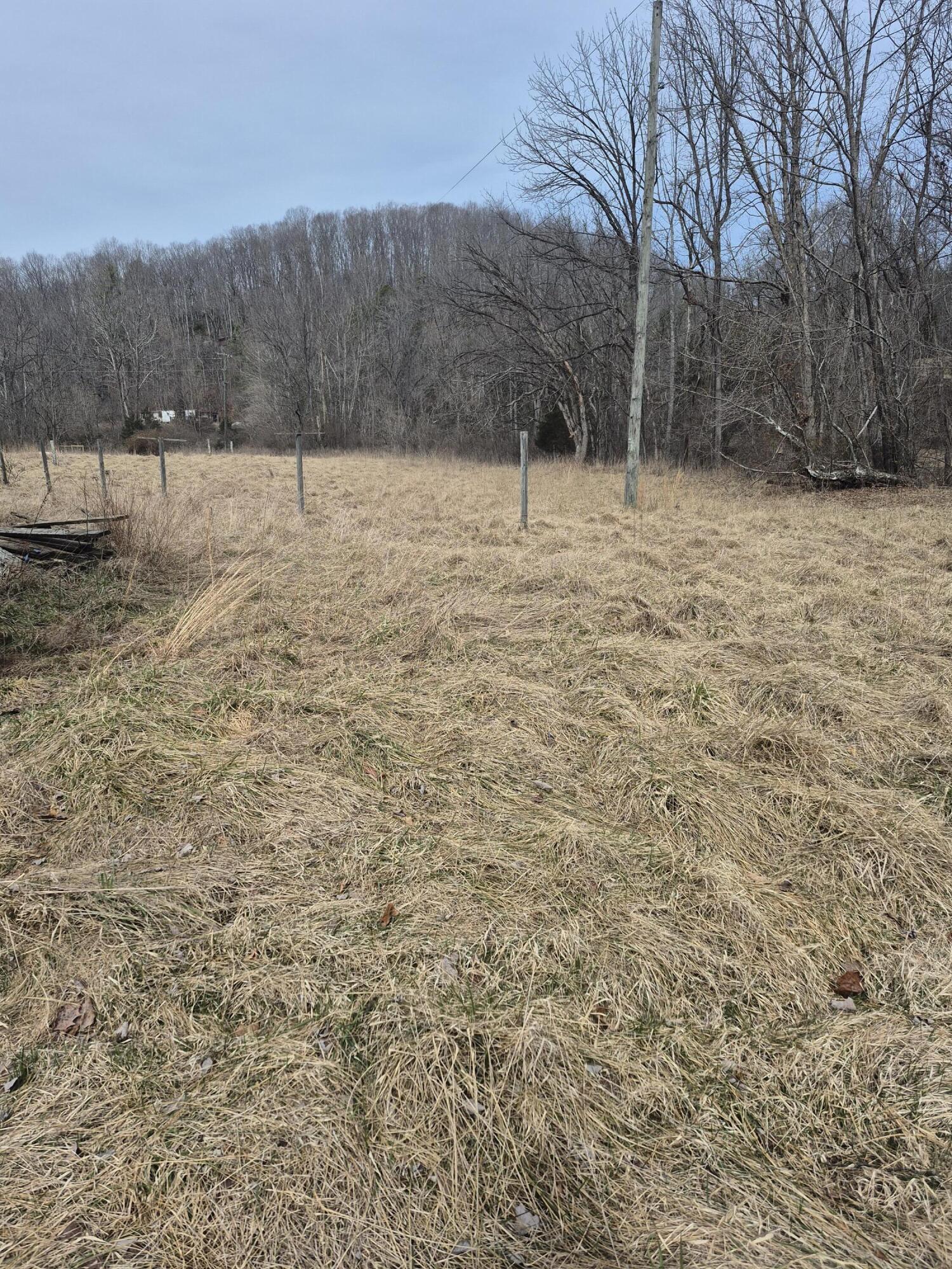 1105 Lithia Road Buchanan, VA 24066 - Photo 5 of 9 a view of a yard with trees