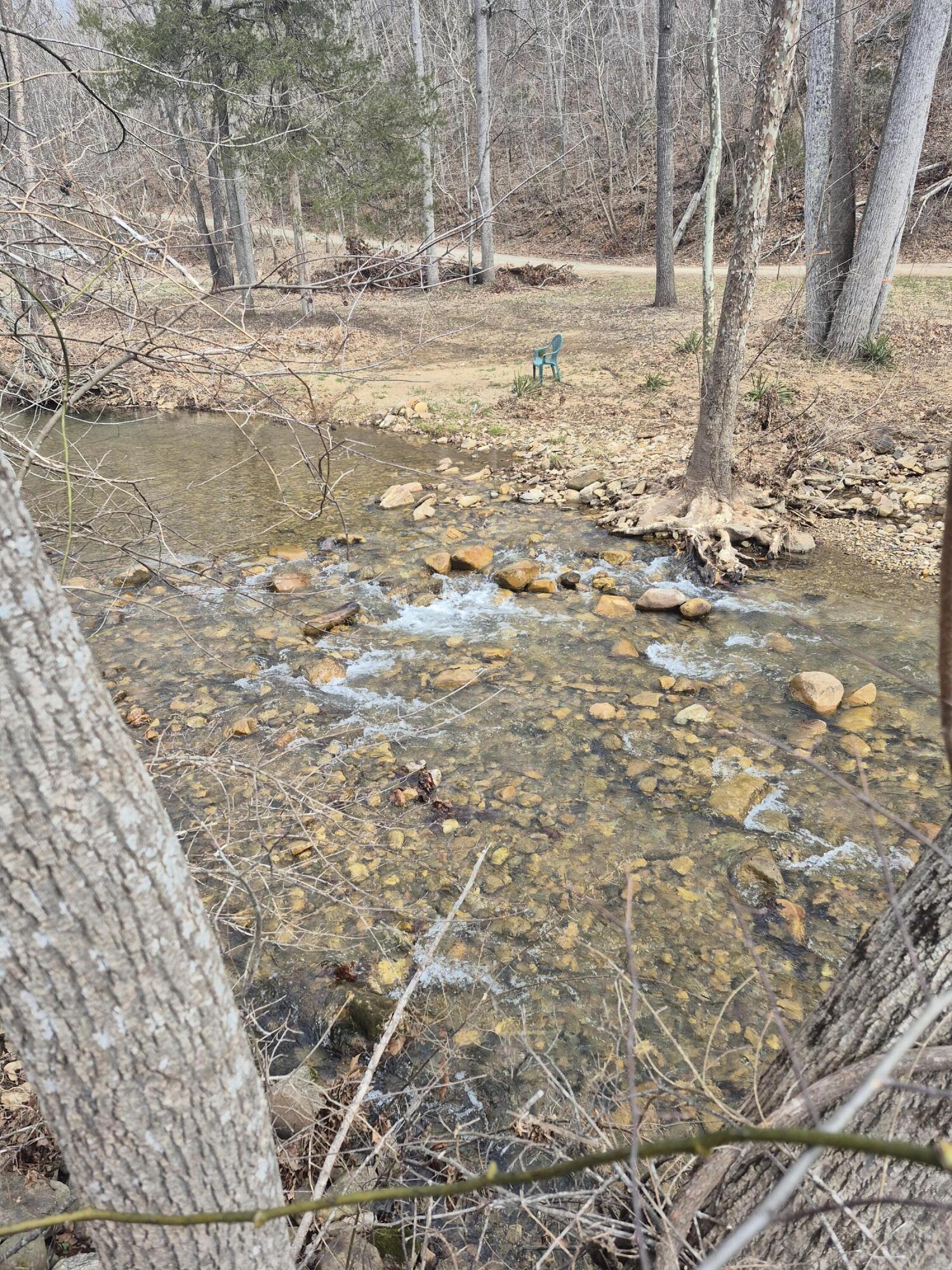 1105 Lithia Road Buchanan, VA 24066 - Photo 6 of 9 a view of ocean view with wooden fence