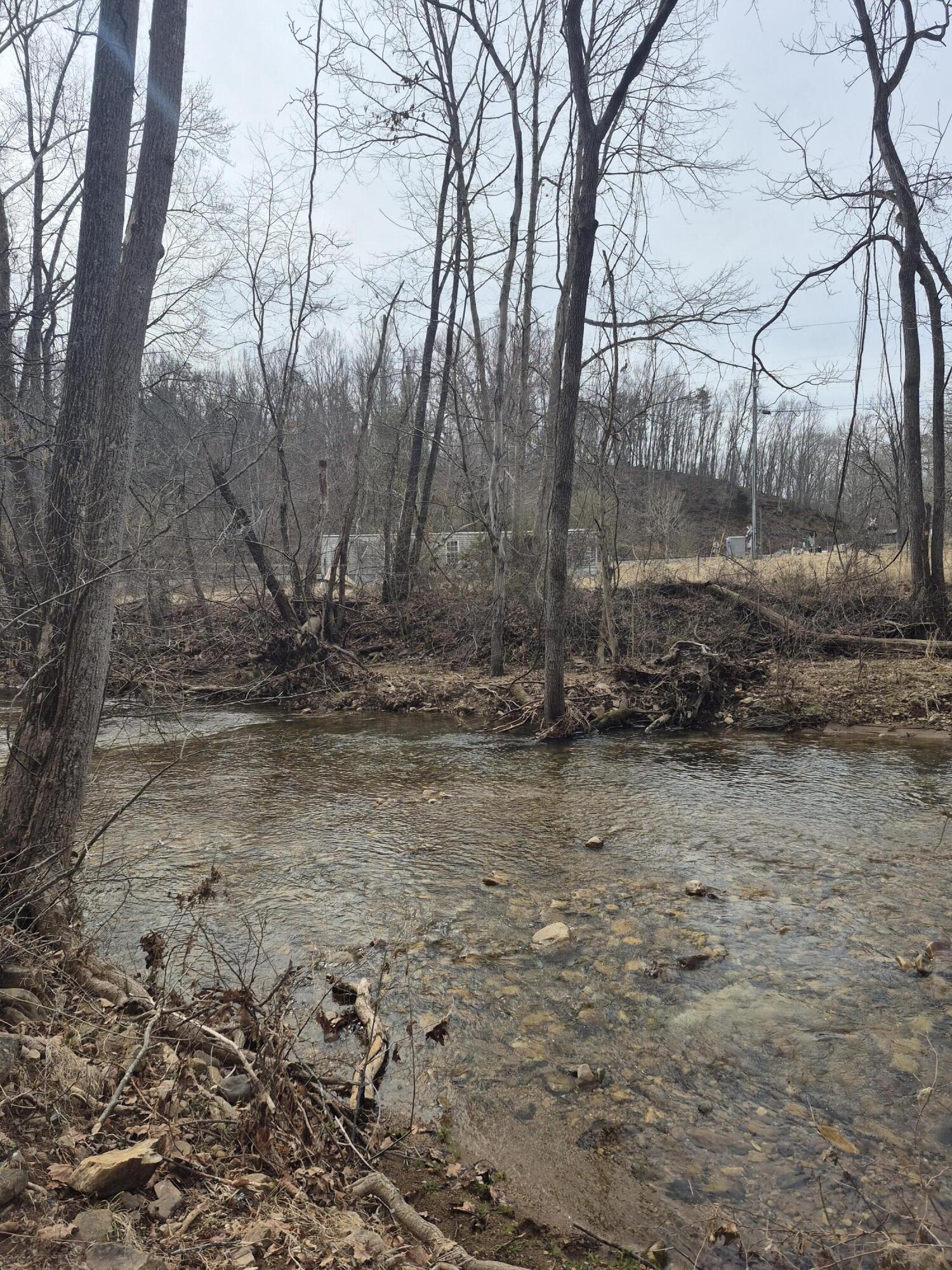 1105 Lithia Road Buchanan, VA 24066 - Photo 8 of 9 a backyard of a house with lots of green space