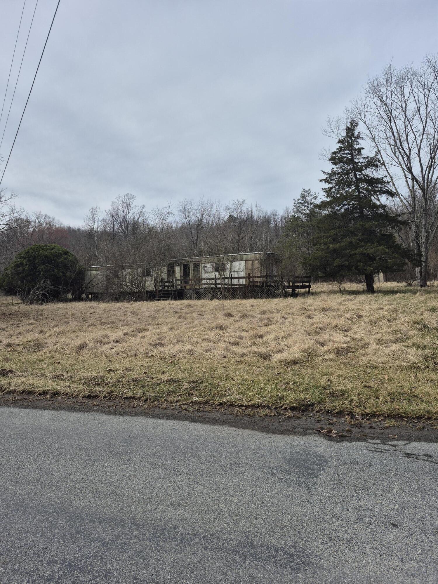 1105 Lithia Road Buchanan, VA 24066 - Photo 9 of 9