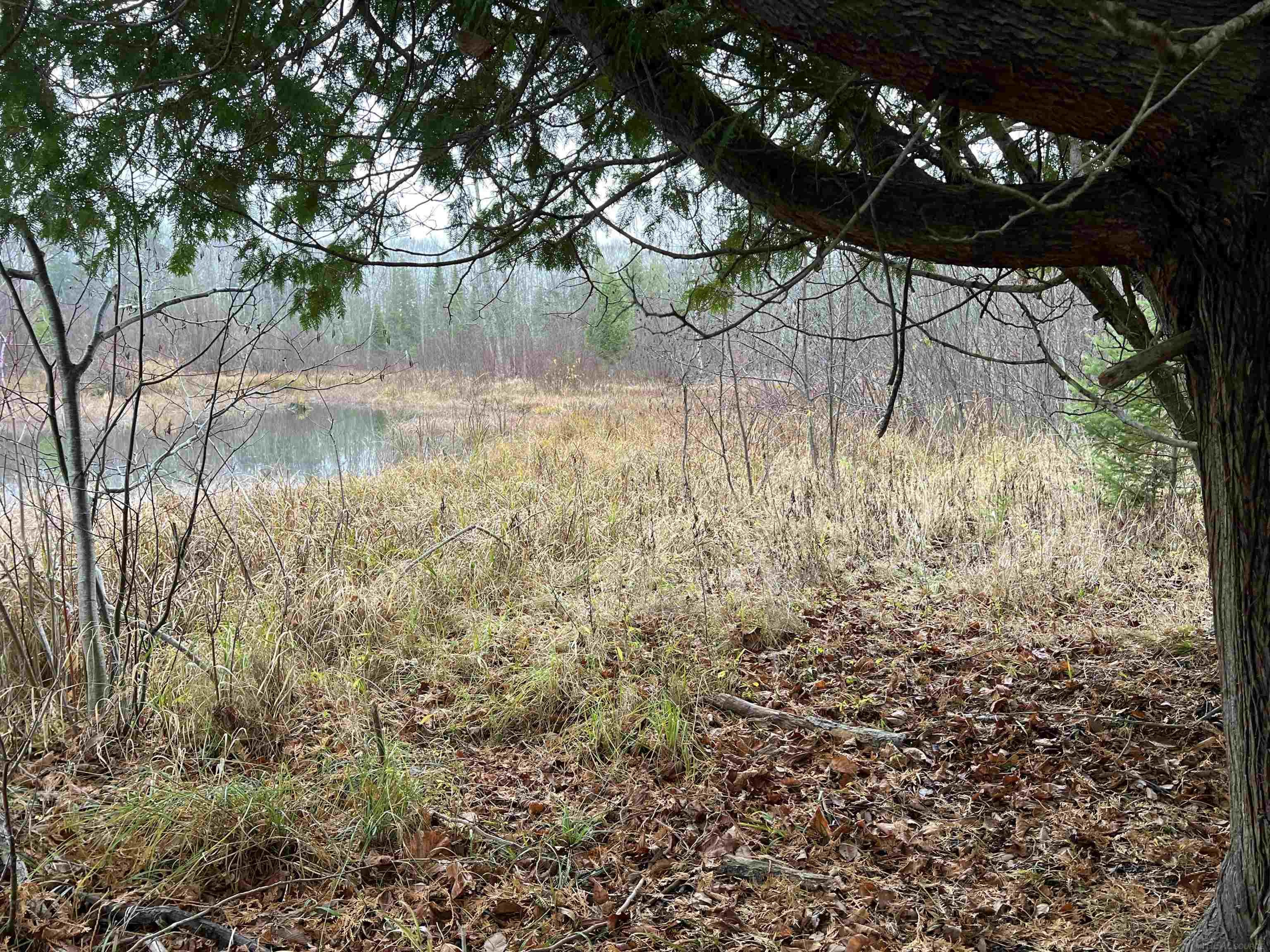 Long Rapids Road Alpena, MI 49707 - Photo 4 of 47 Gallery Image 4