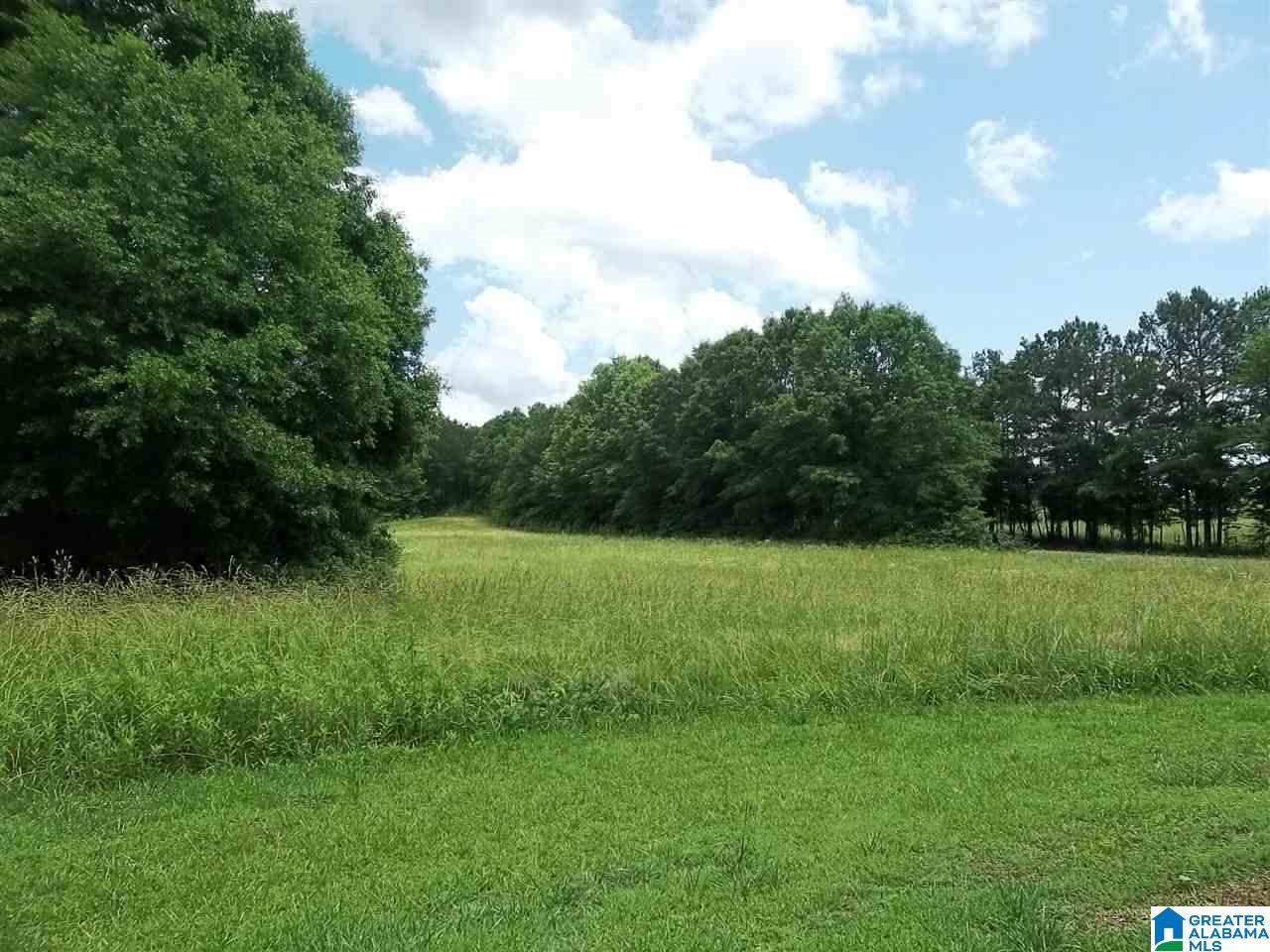371 Royster Road Ashland, AL 36251 - Photo 18 of 19