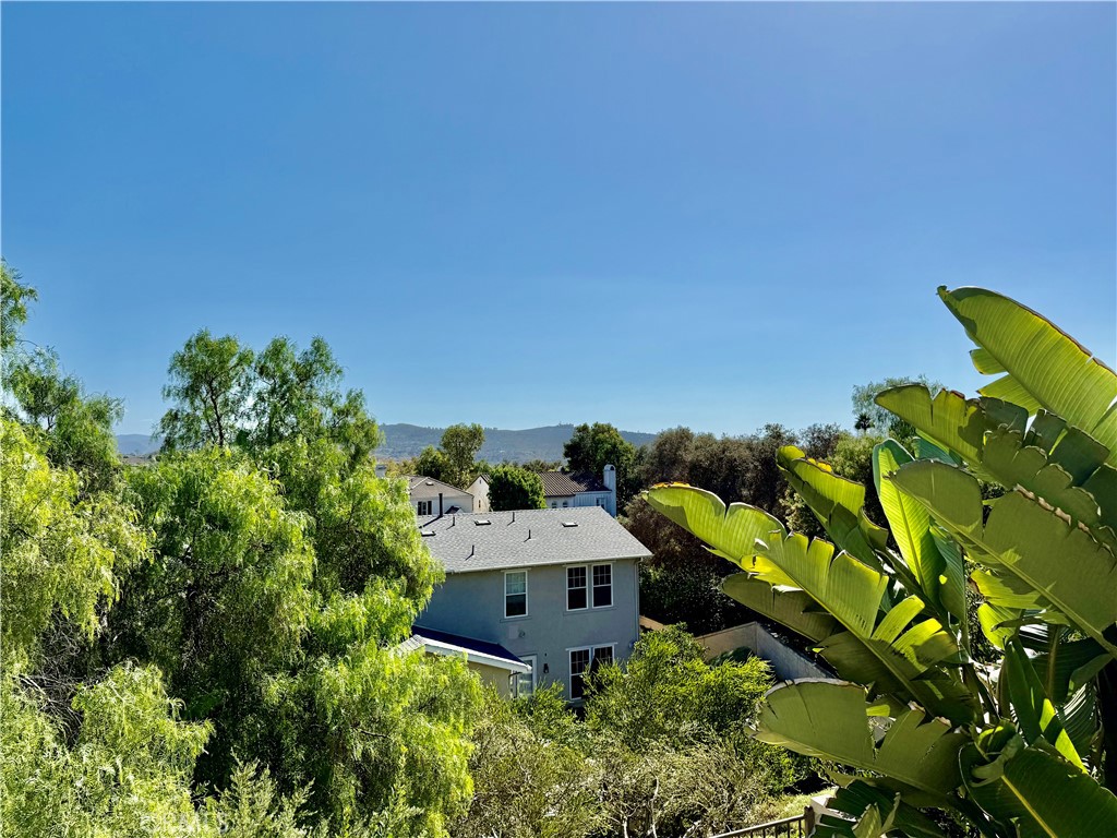 2 Via Destino San Clemente, CA 92673 - Photo 13 of 14 an aerial view of a house with a yard and large trees