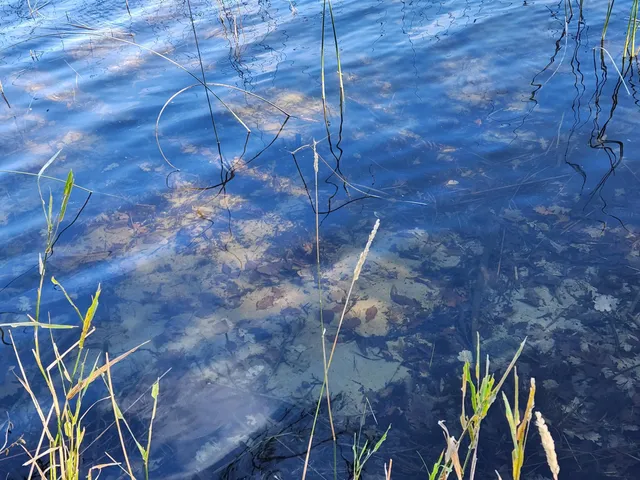 $399,900 | 13098 63rd Avenue Northwest, Cass Lake, MN 56633