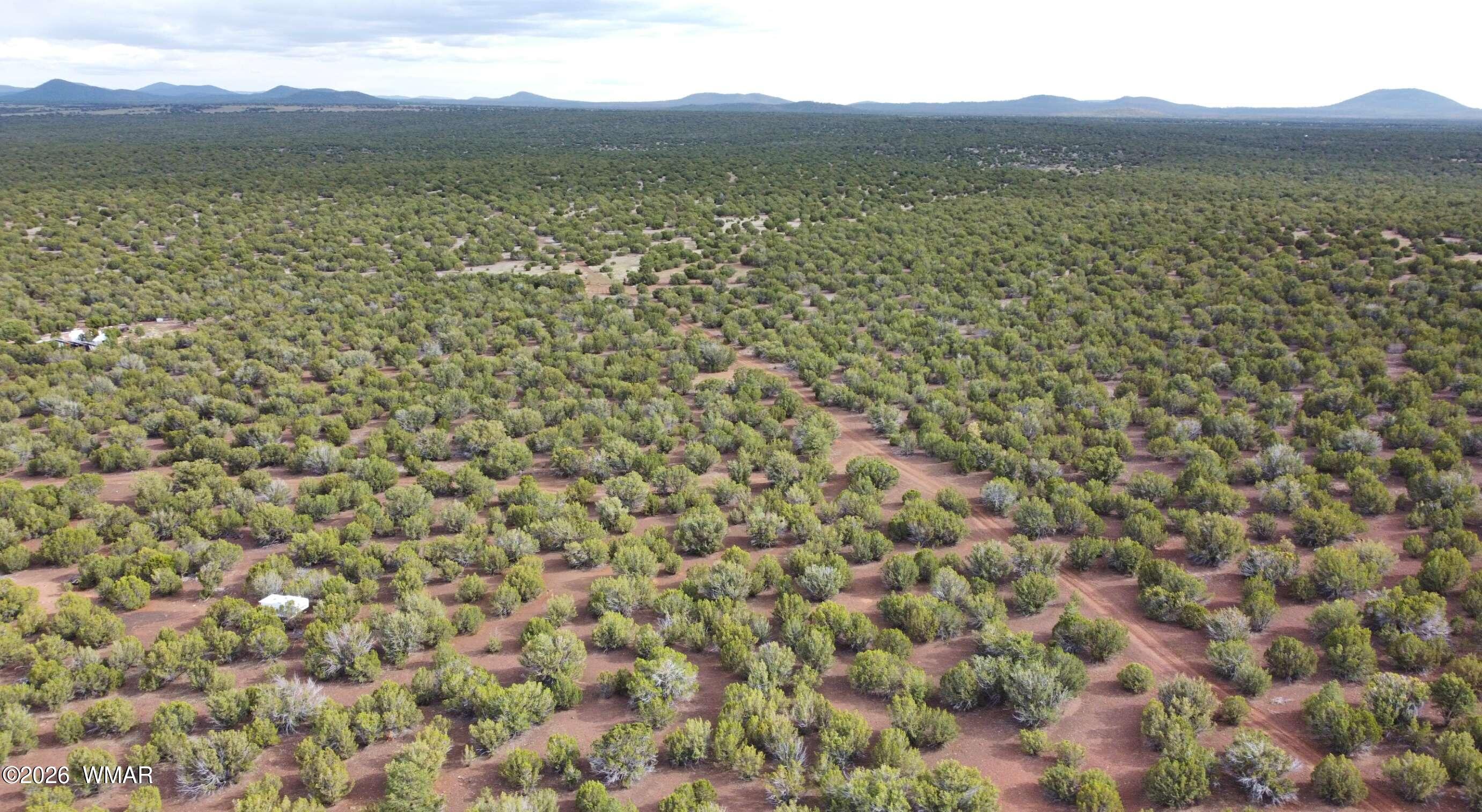 26 C S Ranch Road Concho, AZ 85924 - Photo 1 of 17 primary