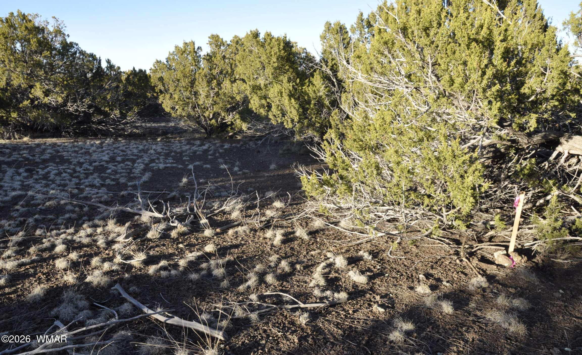 26 C S Ranch Road Concho, AZ 85924 - Photo 11 of 17 13