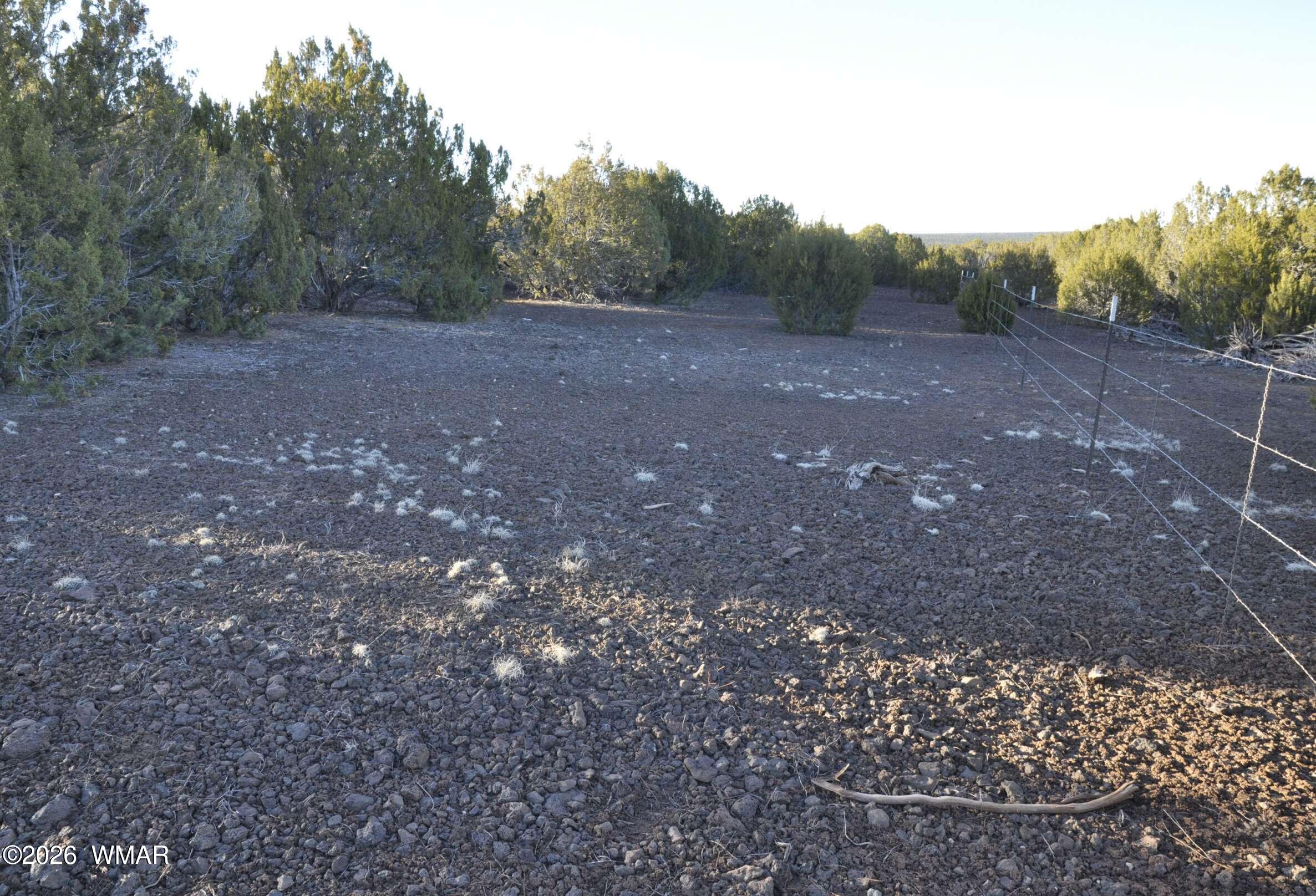 26 C S Ranch Road Concho, AZ 85924 - Photo 2 of 17 22