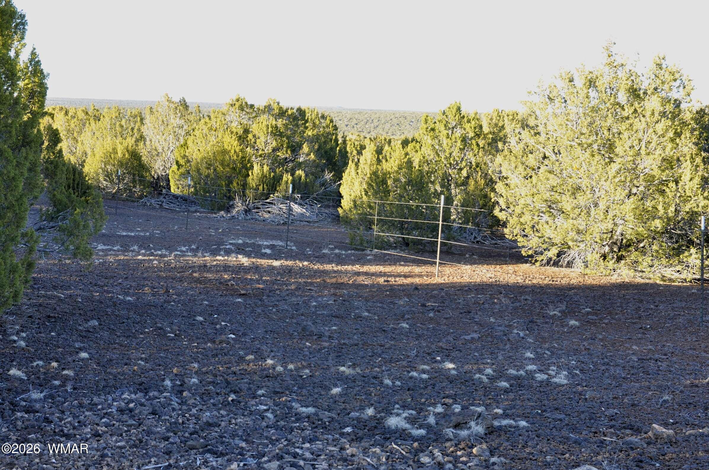26 C S Ranch Road Concho, AZ 85924 - Photo 3 of 17 21