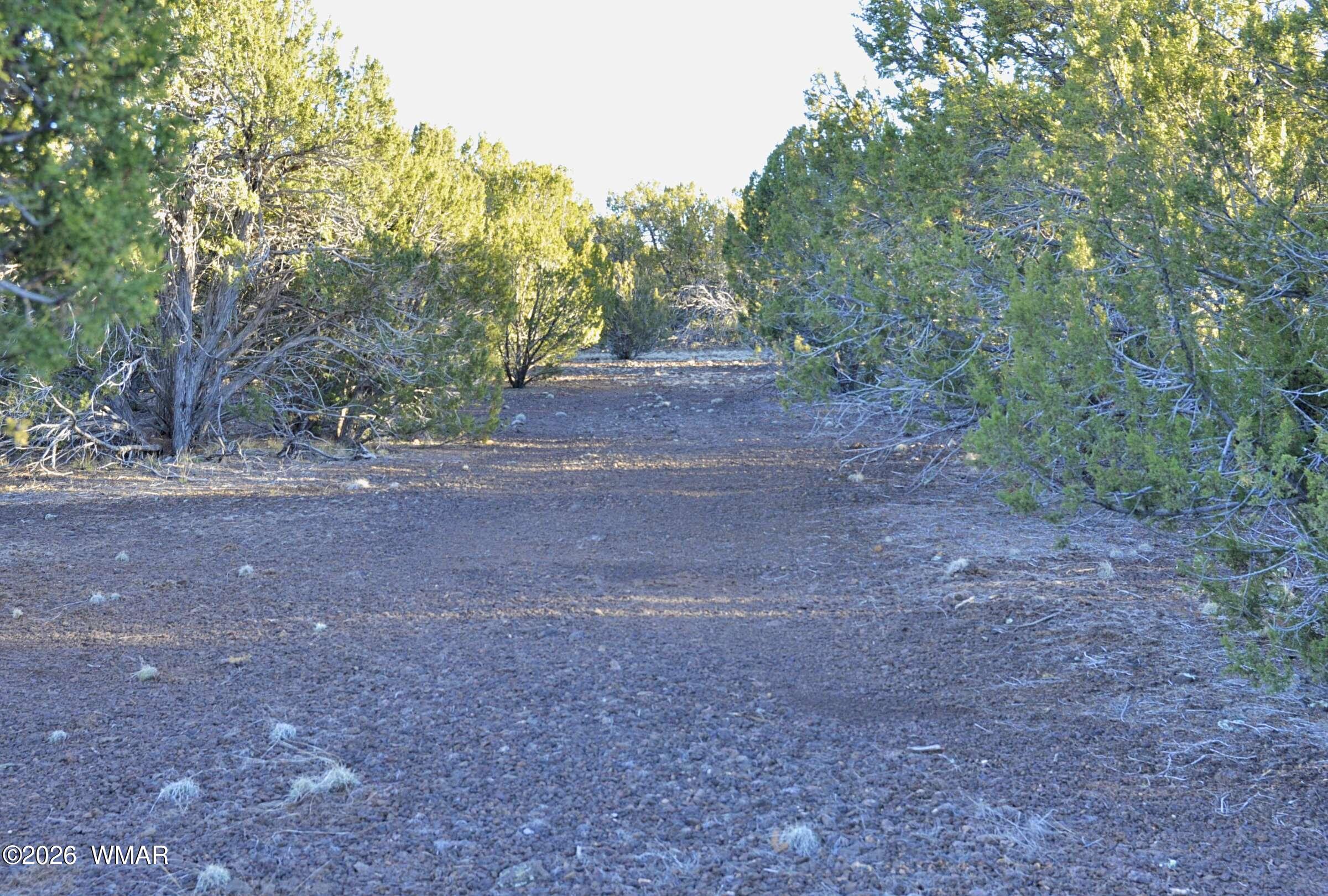 26 C S Ranch Road Concho, AZ 85924 - Photo 4 of 17 20