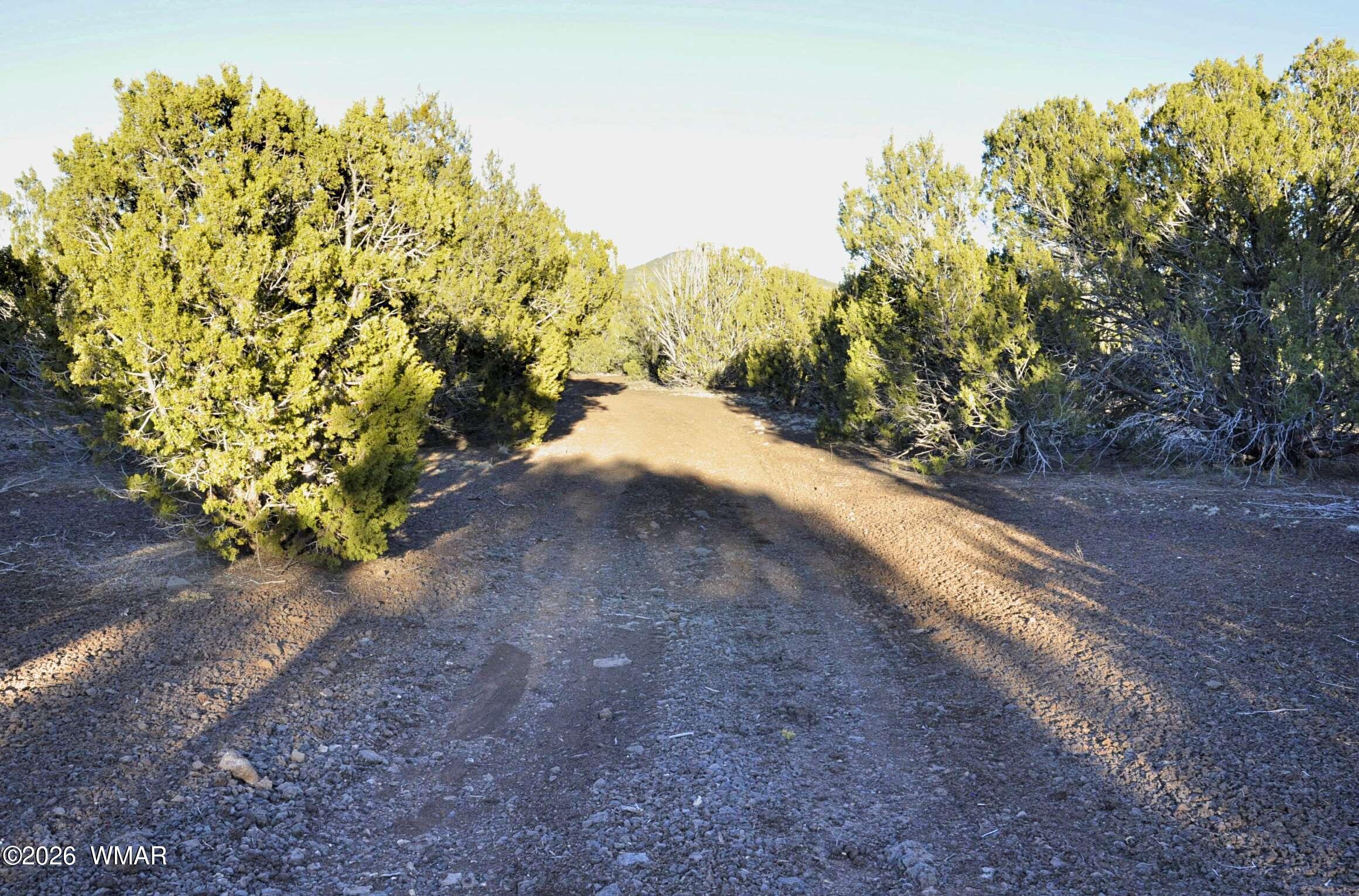 26 C S Ranch Road Concho, AZ 85924 - Photo 10 of 17 15