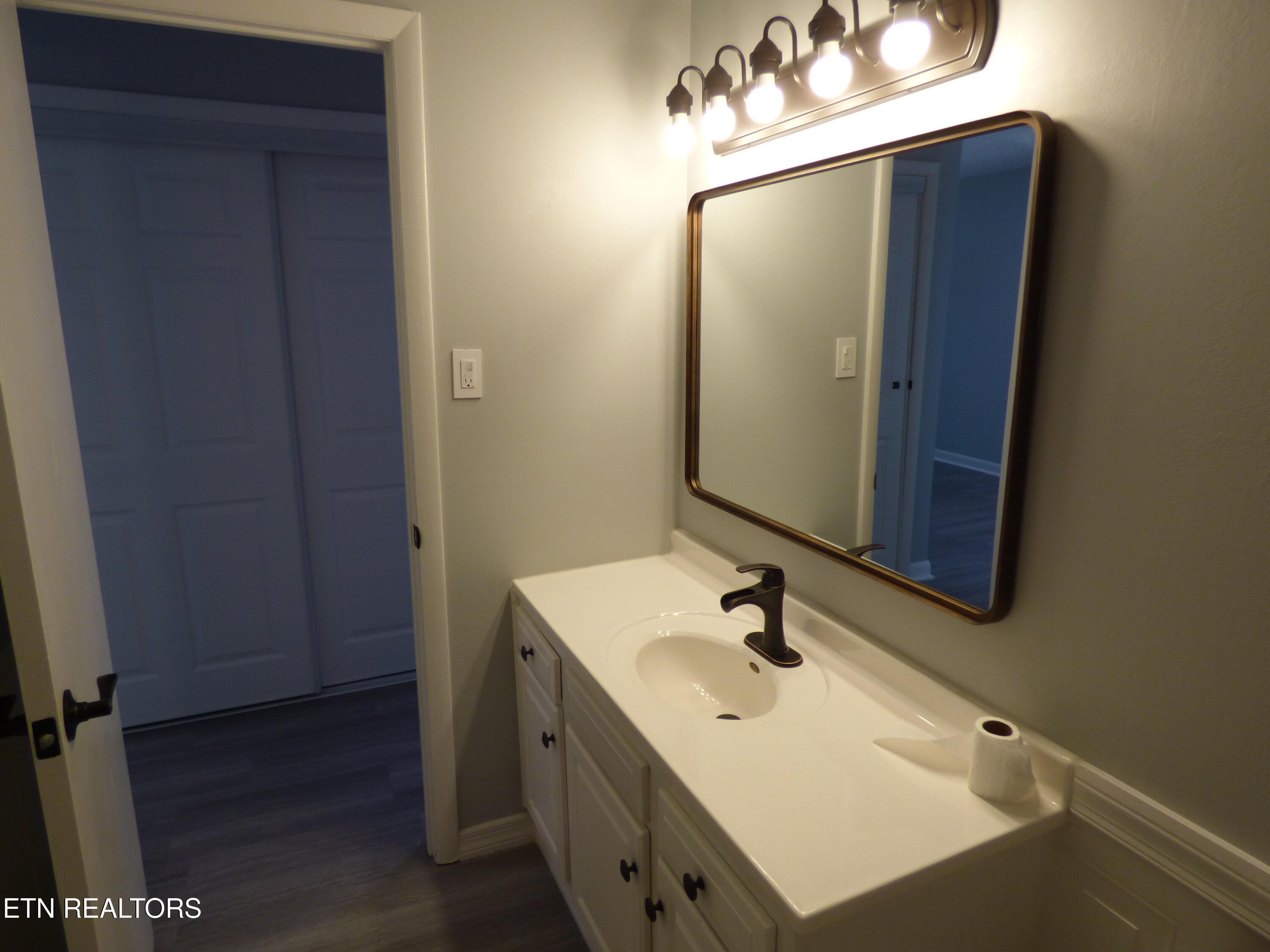153 Travis Drive Spring City, TN 37381 - Photo 16 of 45 P1080900