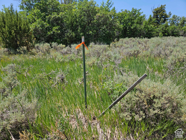 155 East Wolf Hollow Road South, Unit 155 Fairview, UT 84629 - Photo 5 of 13 View of undeveloped land