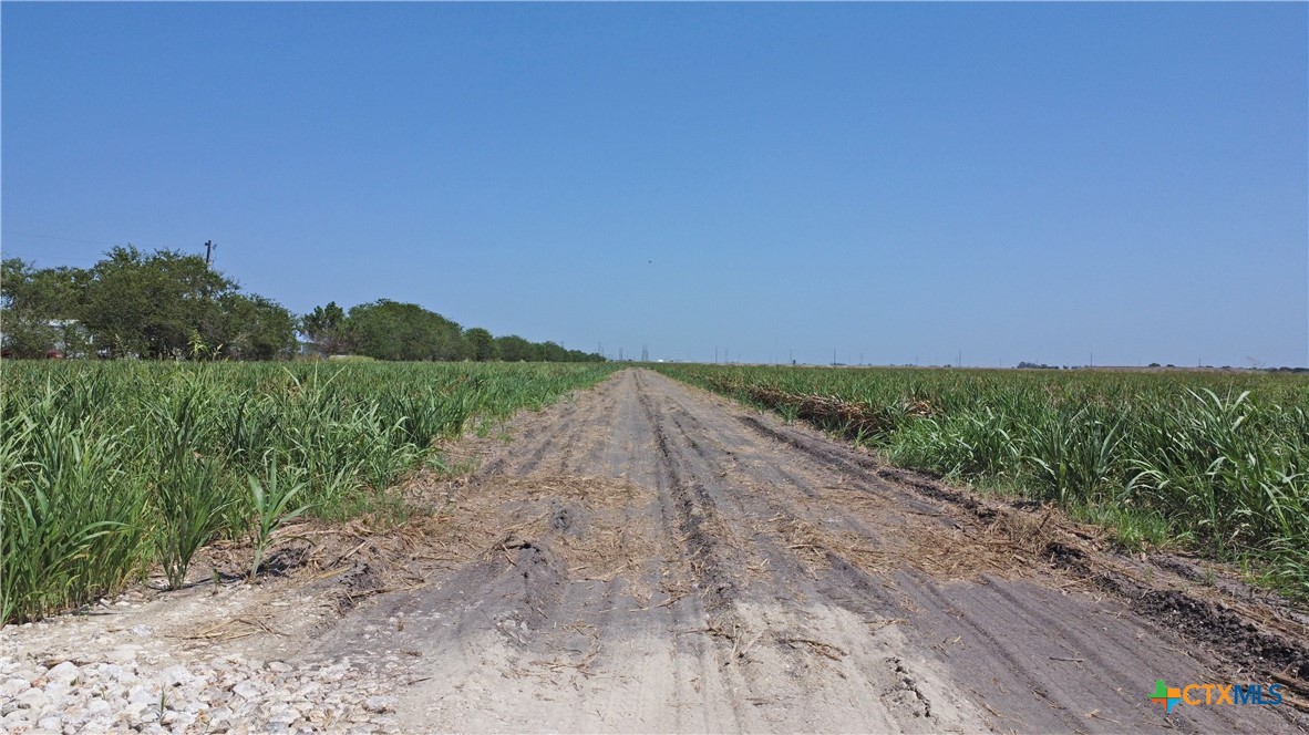 0 Cordova Road Seguin, TX 78155 - Photo 8 of 9 a view of a dry yard with wooden fence