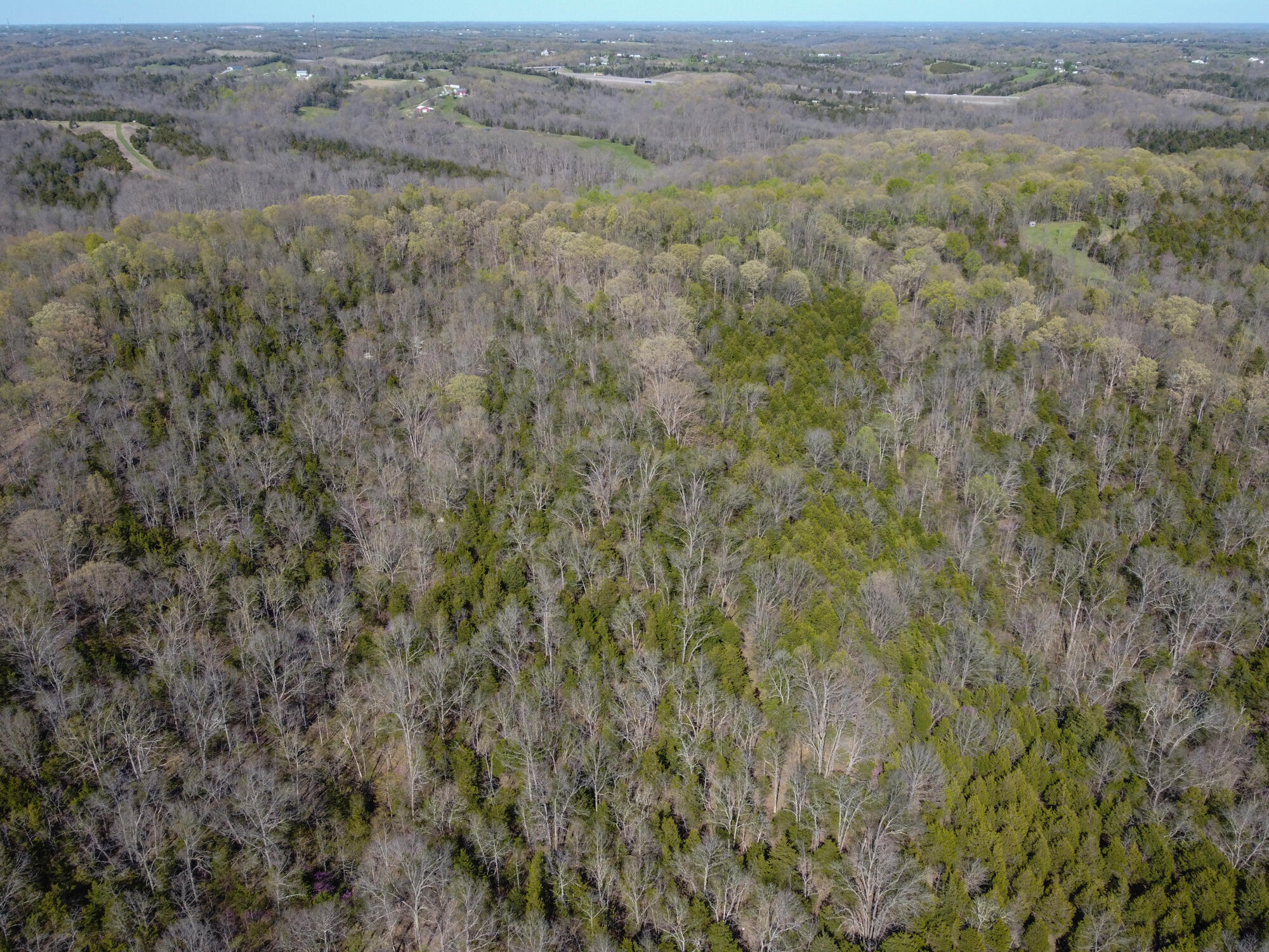 214-acres Keefer Road Corinth, KY 41010 - Photo 33 of 39 Keefer-36
