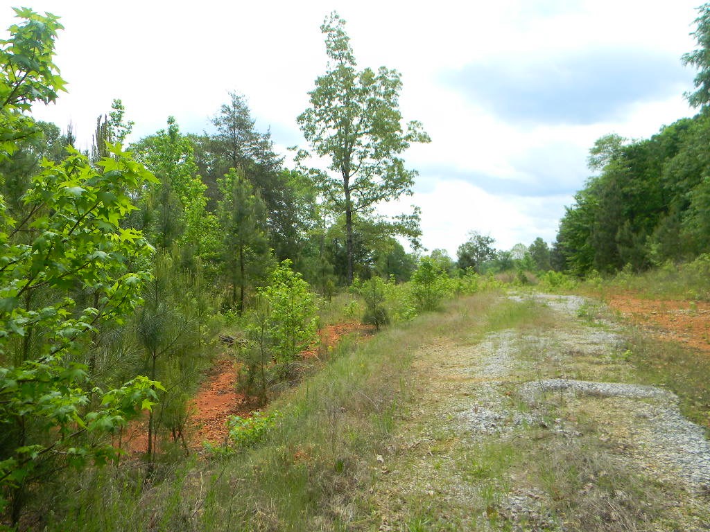 316 Windsor Road Hodges, SC 29653 - Photo 2 of 3