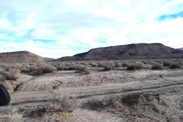 a view of a dry yard with mountains in the background