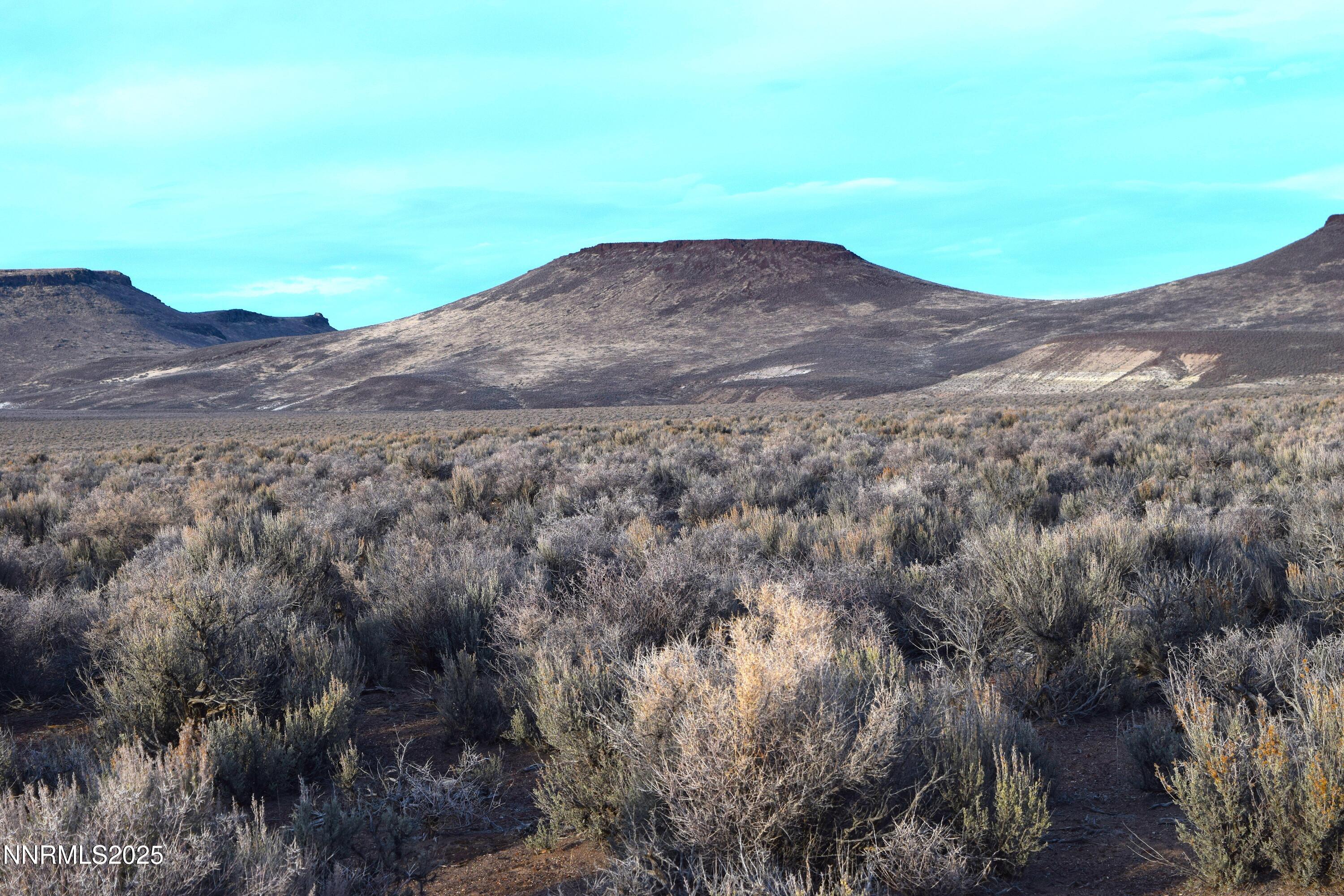 3307-3308 High Rock Road Reno, NV 89510 - Photo 23 of 39 a view of outdoor space and yard