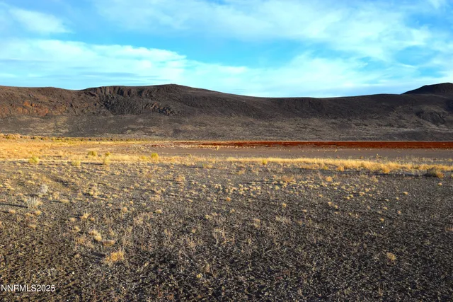 a view of a dry yard with green space
