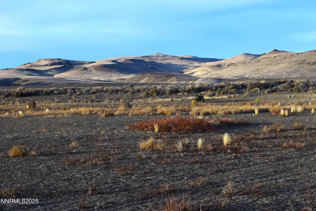 a view of a dry yard