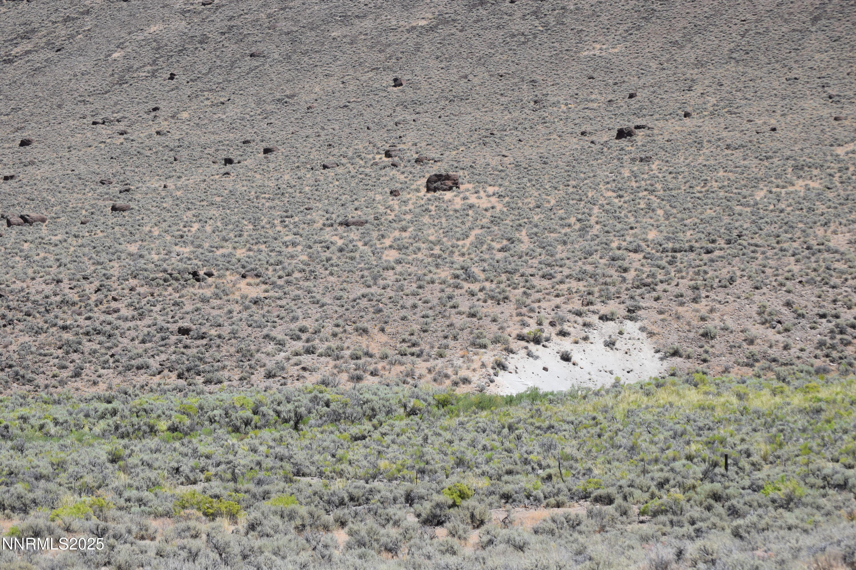 3307-3308 High Rock Road Reno, NV 89510 - Photo 34 of 39 a view of a dry yard