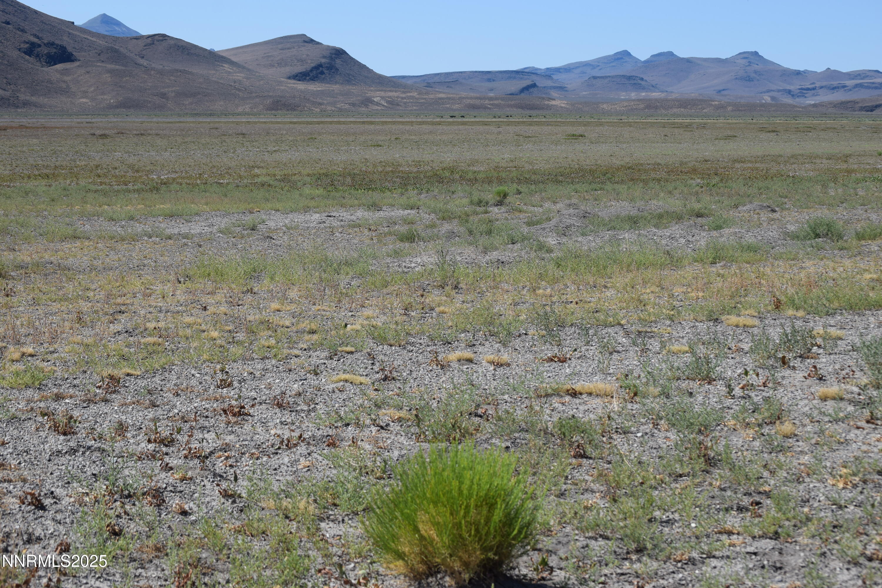 3307-3308 High Rock Road Reno, NV 89510 - Photo 39 of 39 a view of a dry yard with an outdoor space