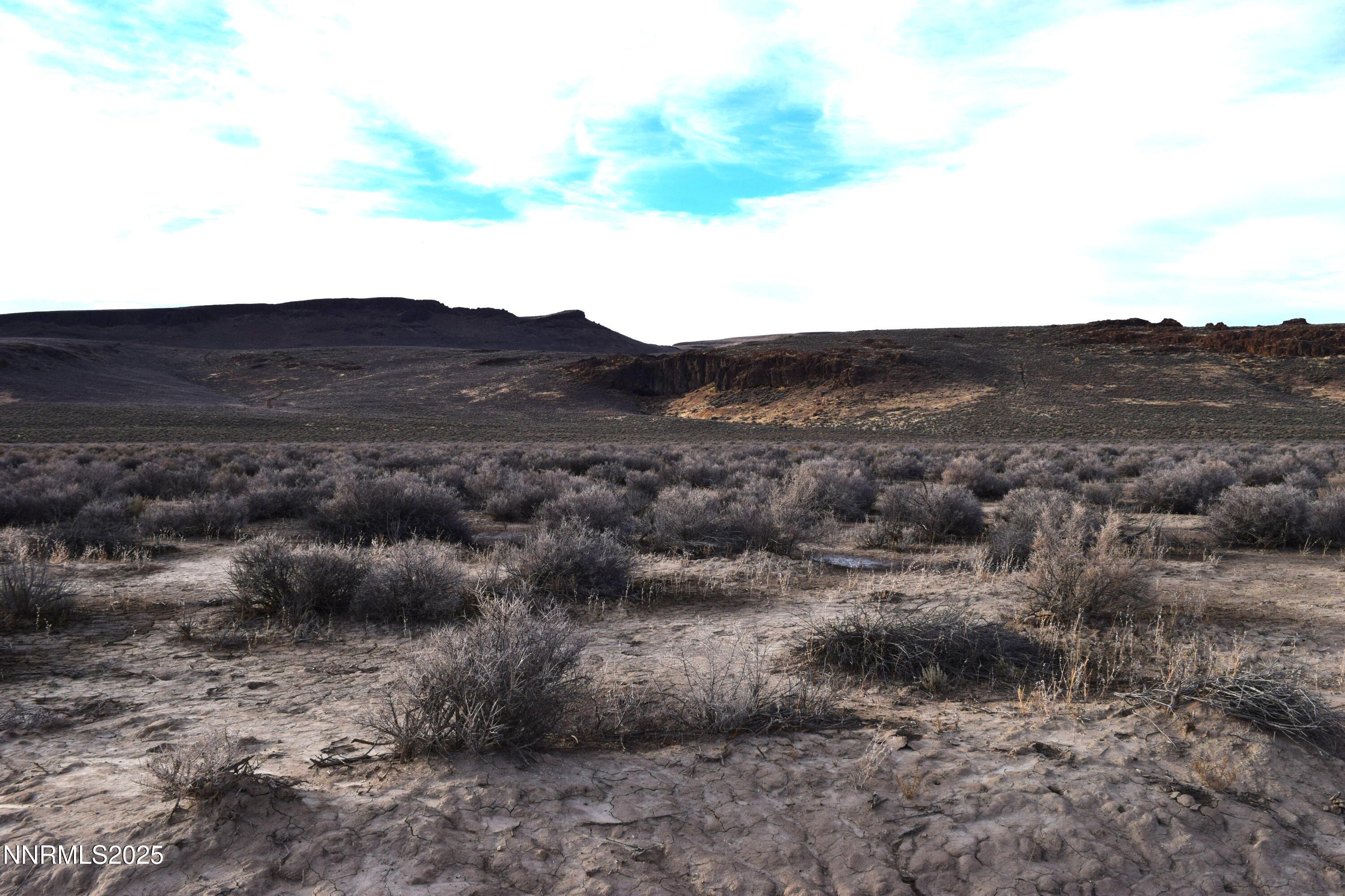 3307-3308 High Rock Road Reno, NV 89510 - Photo 10 of 39 a view of a dry field with lots of bushes