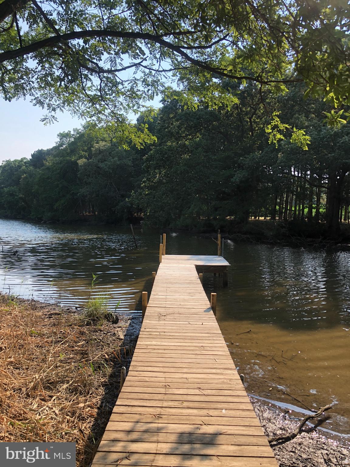 8497 Ingleton Road Easton, MD 21601 - Photo 21 of 29 Waterfront / Pier