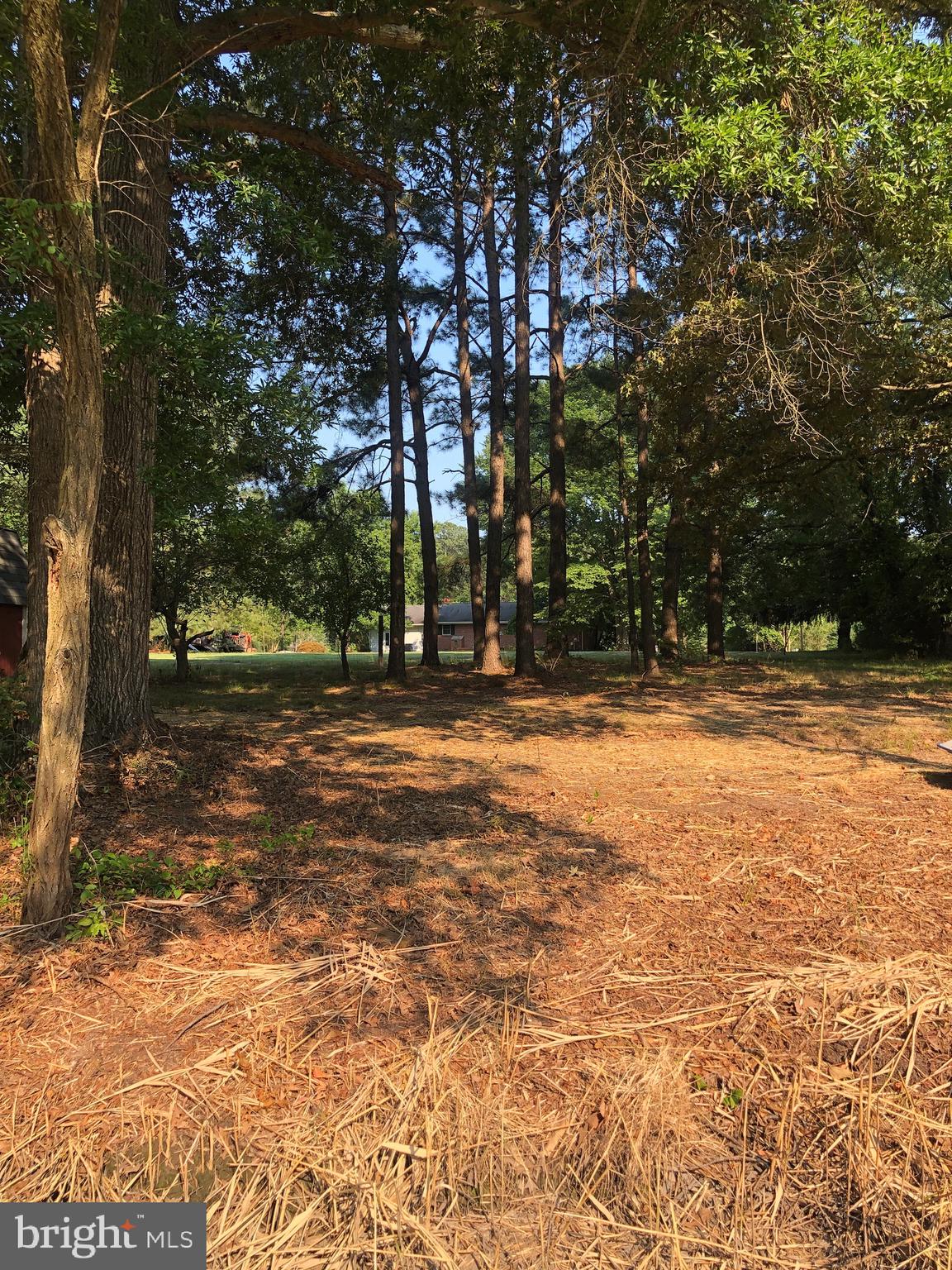 8497 Ingleton Road Easton, MD 21601 - Photo 23 of 29 View from Pier looking toward rear yard