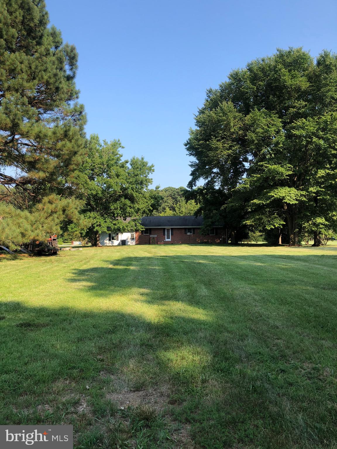 8497 Ingleton Road Easton, MD 21601 - Photo 26 of 29 Rear Yard