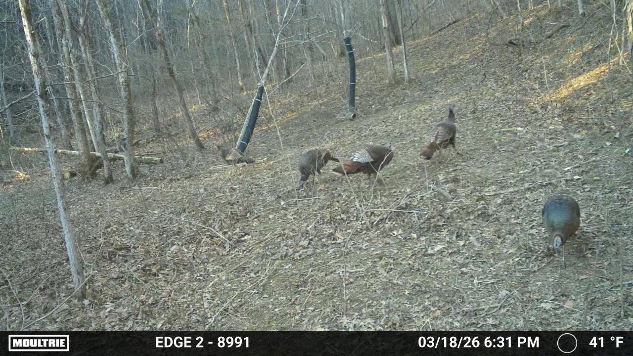 10792 New Columbus Road Owenton, KY 40359 - Photo 5 of 22 WL7